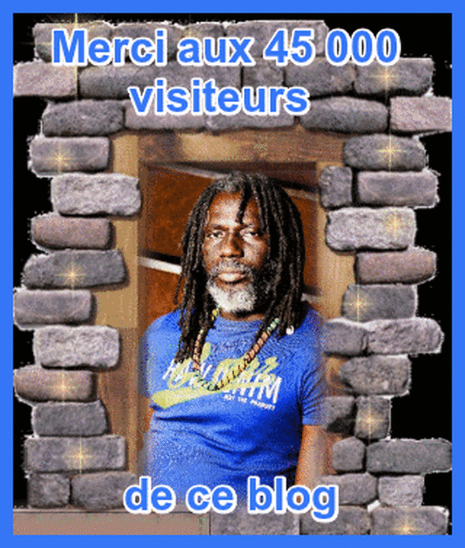 blog musique tiken jah fakoly
